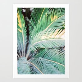 Turquoise green palm trees in Ibiza | Travel wanderlust photography | colorful wall art Art Print