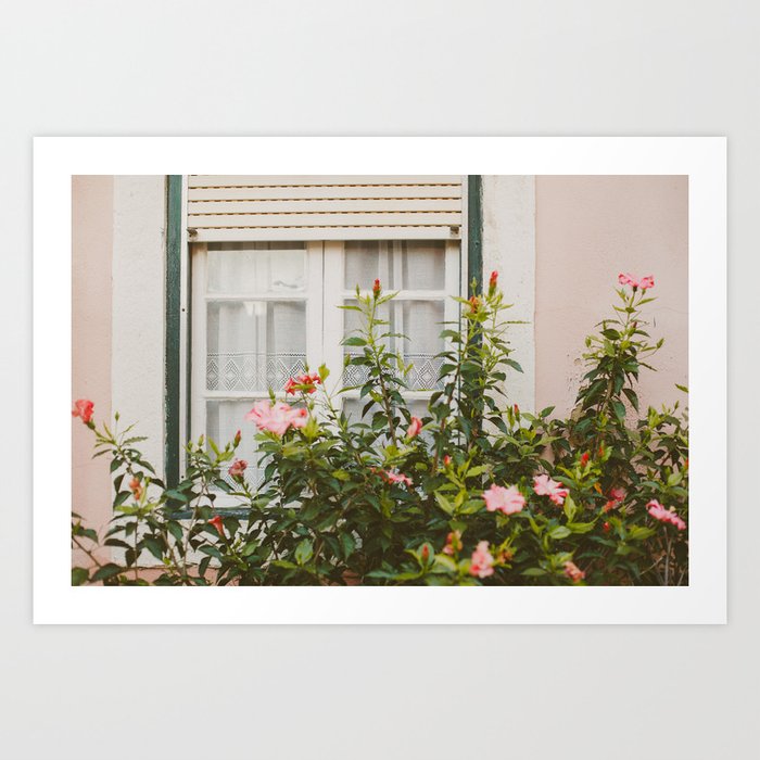Hibiscus Window Art Print