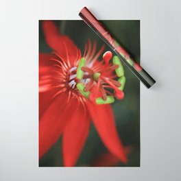 Passiflora vitifolia Scarlet Red Passion Flower Wrapping Paper