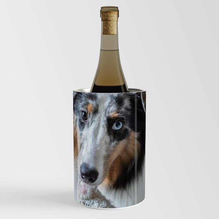 Sheltie dog and the sock Wine Chiller