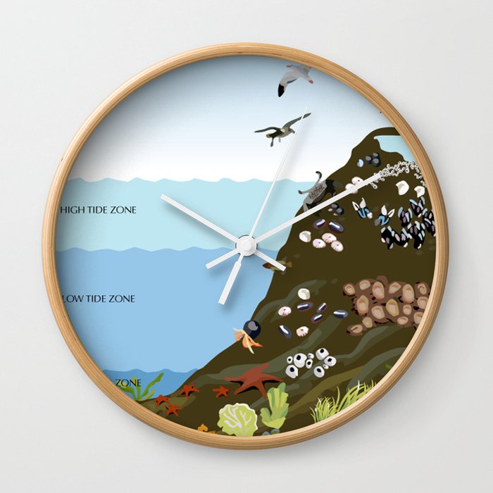 Southern California Tide Pool Explorer's Guide Wall Clock