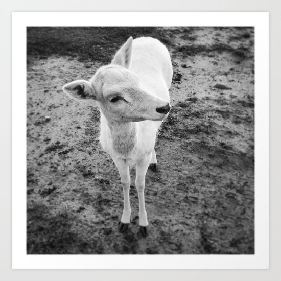 Deer in Black and White Art Print