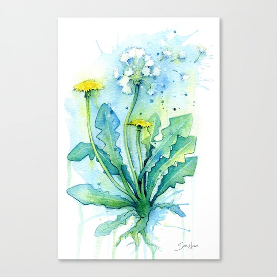 Dandelion Canvas Print