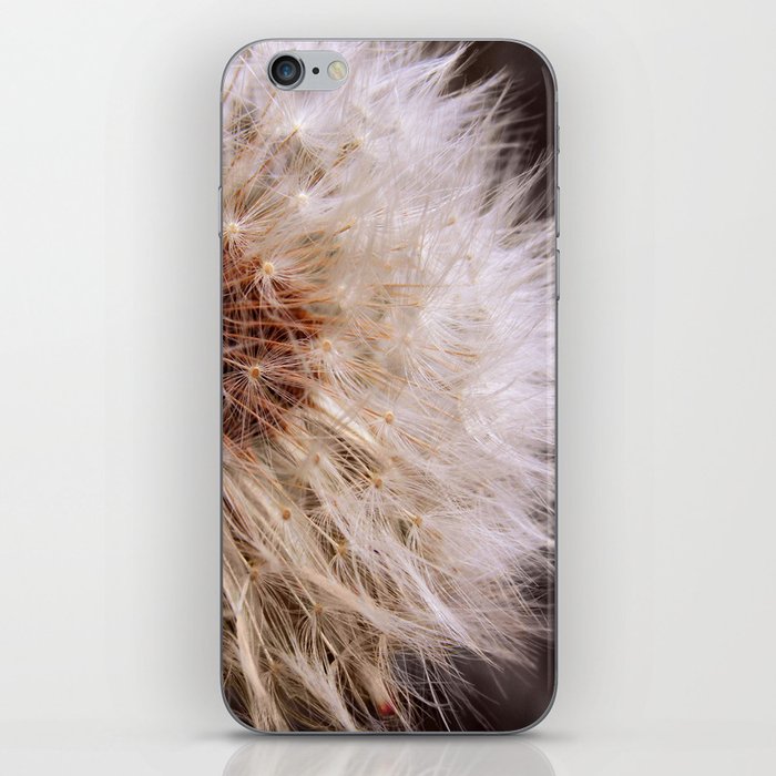 dandelion iPhone Skin