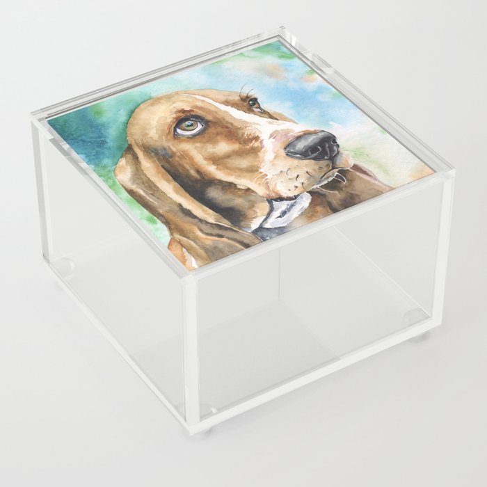 Bassett Hound Watercolor | Pillow Cover | Dogs | Home Decor | Custom Dog Pillow | Dog Mom | Hound Acrylic Box