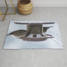 New Zealand Photography - Bird Feeder In The Snowy Weather Area & Throw Rug