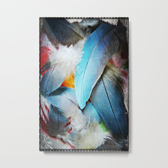 These are some of my favorite Feathers Metal Print