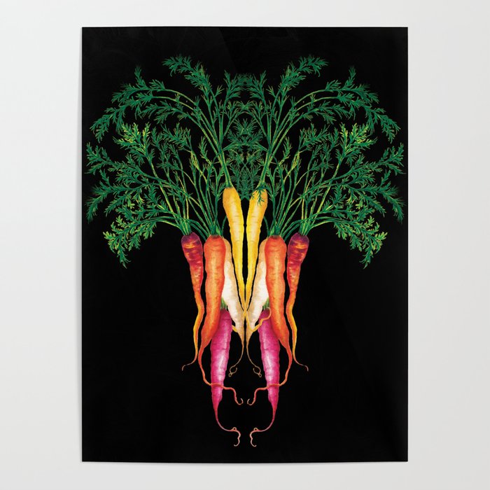 Food illustration - A beautiful bunch of carrots  Poster
