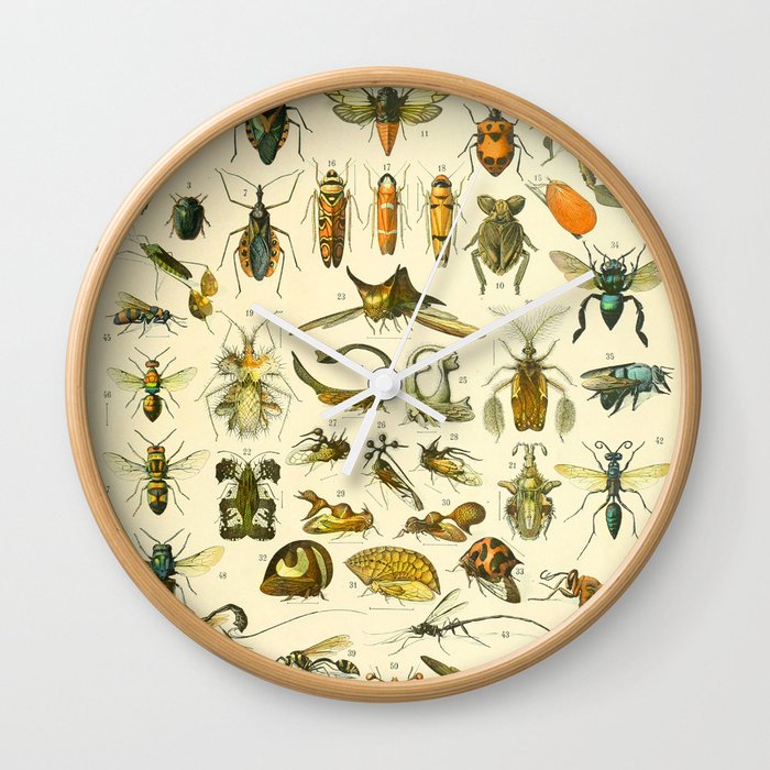 Adolphe Millot "Insectes" Nouveau Larousse 1905 Wall Clock