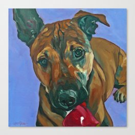 Chance the Terrier Mix Dog Portrait Canvas Print