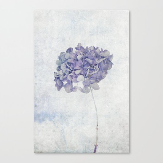 Blue Vintage Hydrangea Canvas Print