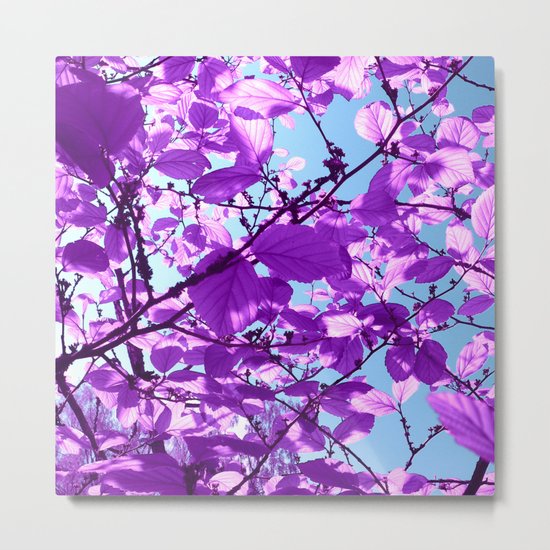 purple tree XXVIII Metal Print