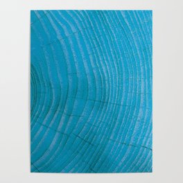 Blue wood Poster