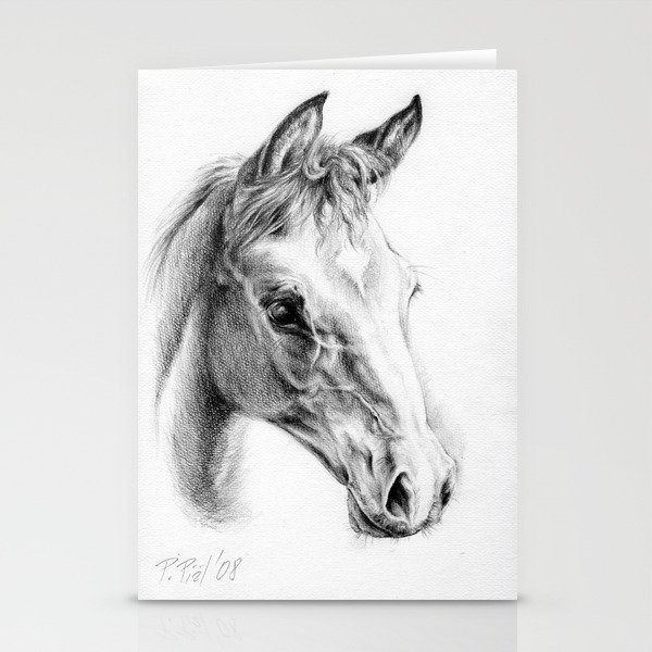 Foal Horse Portrait Colt Head Graphite Pencil Drawing Stationery Cards By Canisart Society6