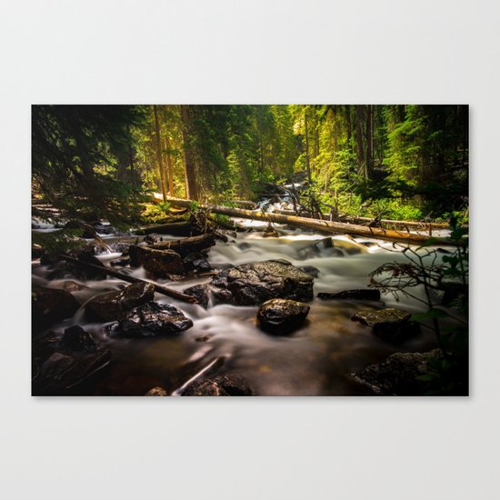 Nature's Creek Canvas Print