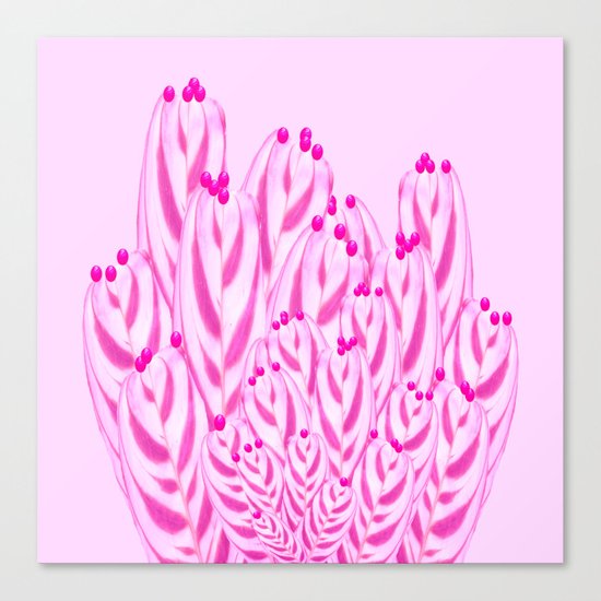 Cactus Dreams Canvas Print