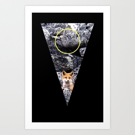 young fox. Art Print