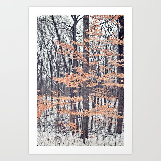 Snow in the Woods Art Print