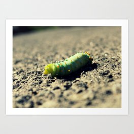 Greenish Art Print | Animal, Photo 