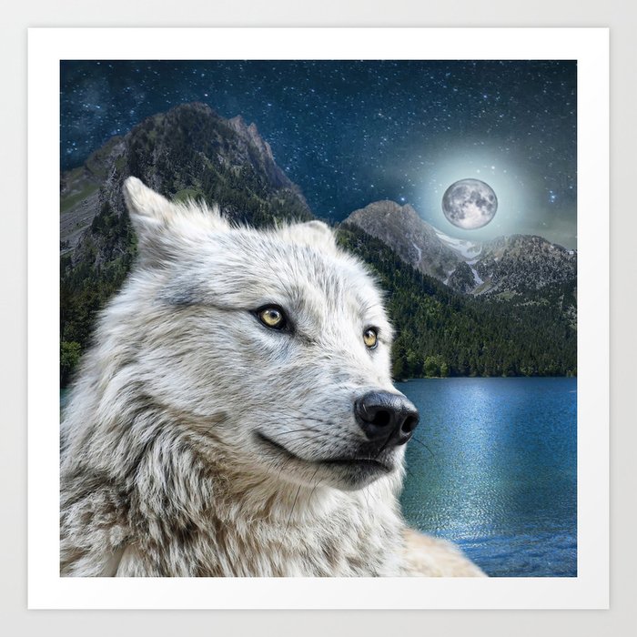 White Wolf and Moonlight Art Print
