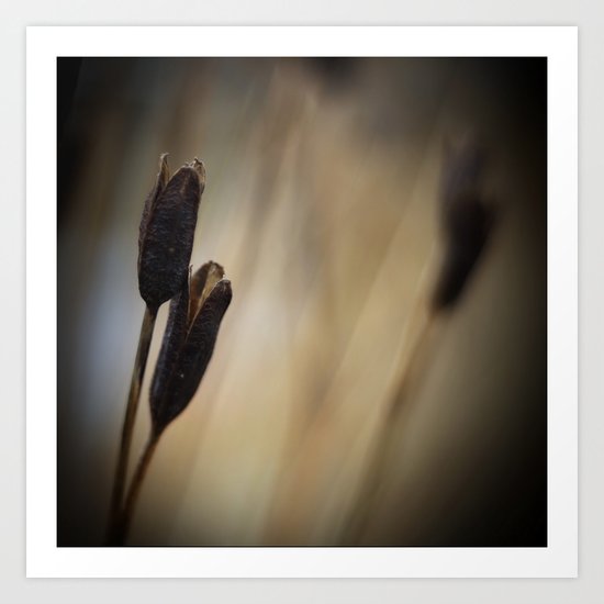 Pods Art Print