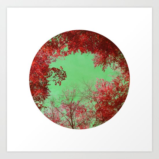 red trees Art Print