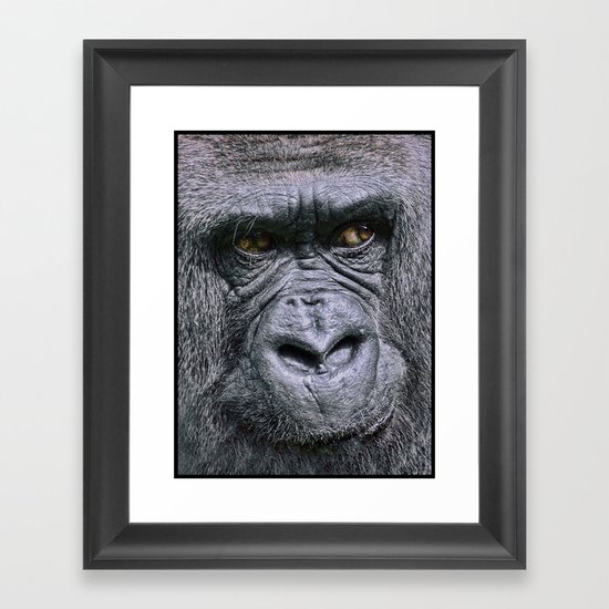 Portrait of a female Gorilla Framed Art Print