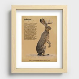 Jackalope Recessed Framed Print