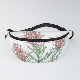 Indian paintbrush wild flowers Fanny Pack