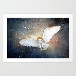 Barn owl Art Print