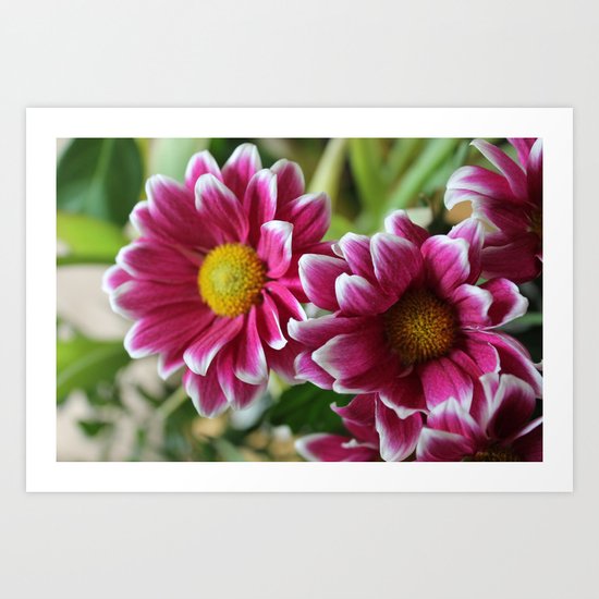 Pink Dream Art Print