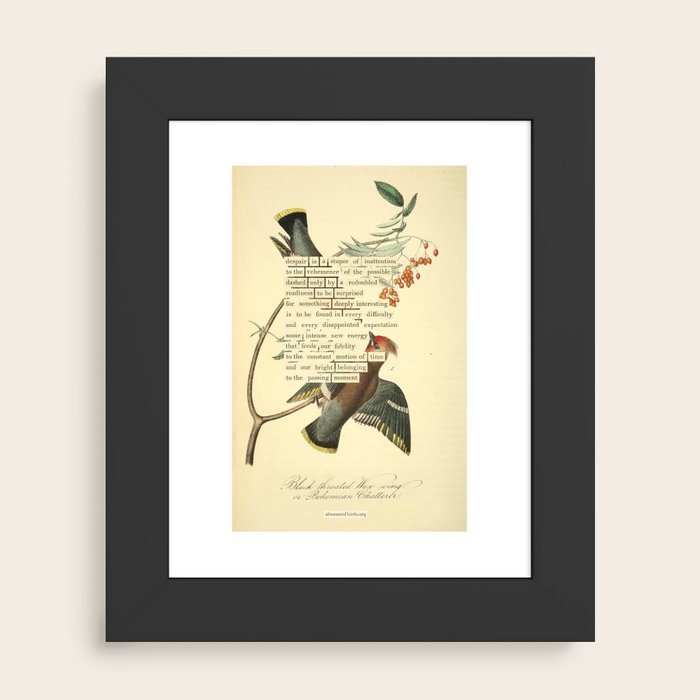 Framed Art Print