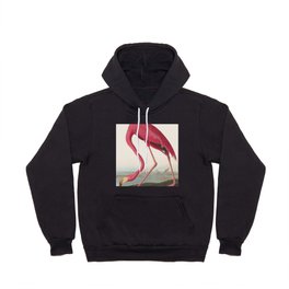 Vinatge Bird Illustration, American Flamingo Hoody