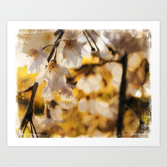 The Golden Light Art Print