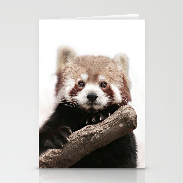 RED PANDA Stationery Cards
