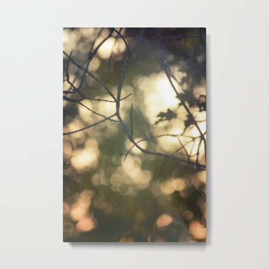 light's beauty Metal Print