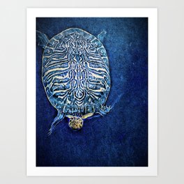The Wisdom of the Sea Turtle Art Print