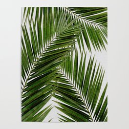 Palm Leaf III Poster