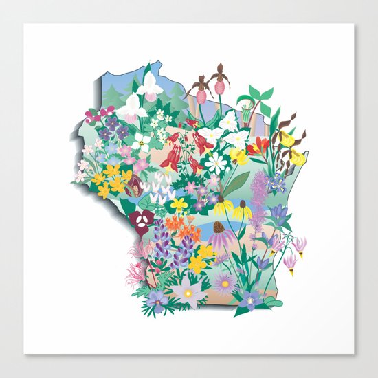 Wisconsin Wildflowers Canvas Print