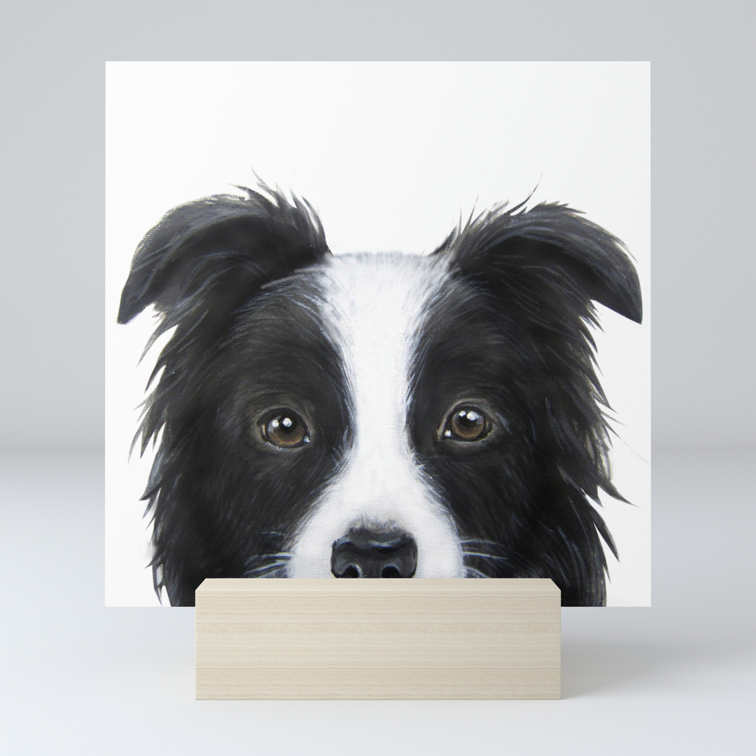 border collie Original painting print 