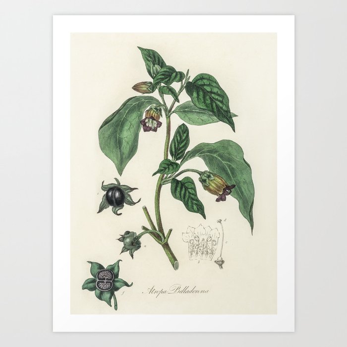 Art Print