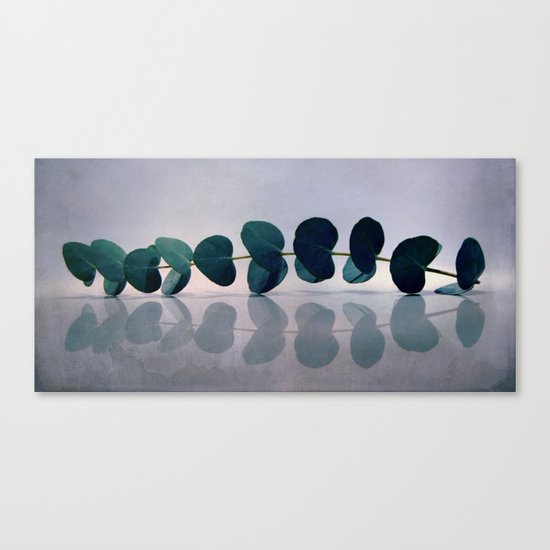 creation Canvas Print