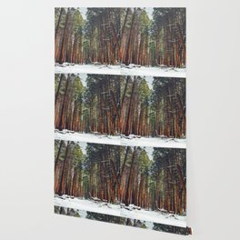 Snowing Wallpaper Society6