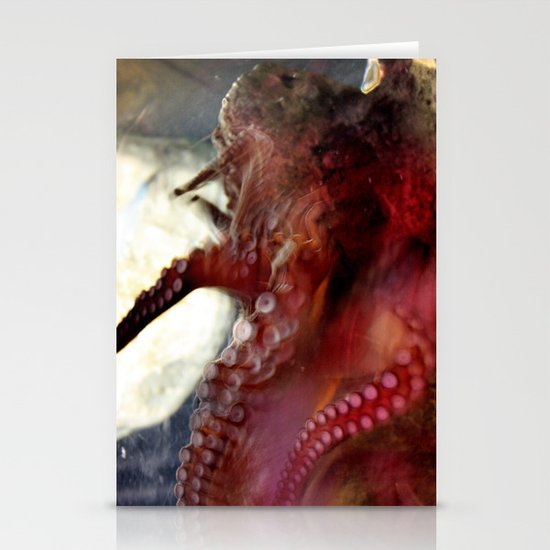 octopus Stationery Cards