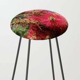 Argentina Photography - Callistemon Speciosus In The Argentine Forest Counter Stool