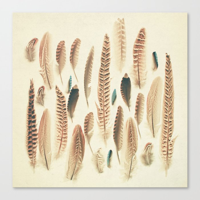 Found Feathers Canvas Print