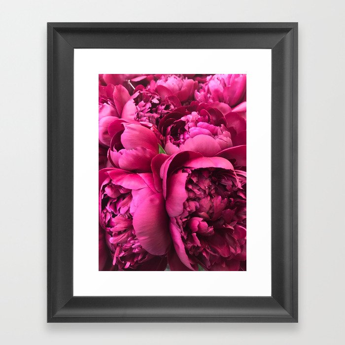 Hot Pink Peonies Framed Art Print