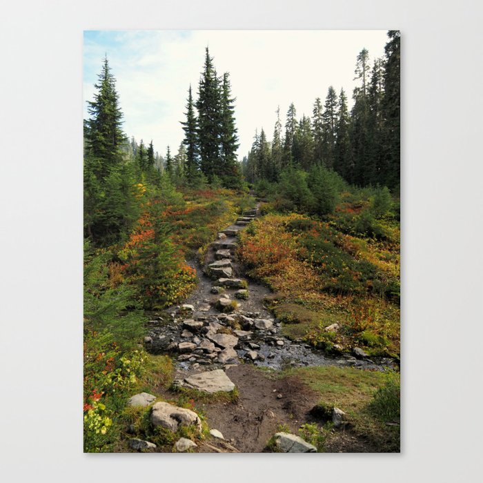 A stony path Canvas Print