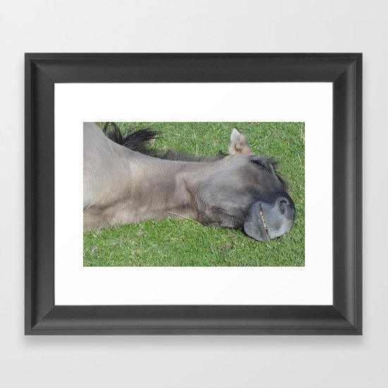 Grinning Horse Framed Art Print