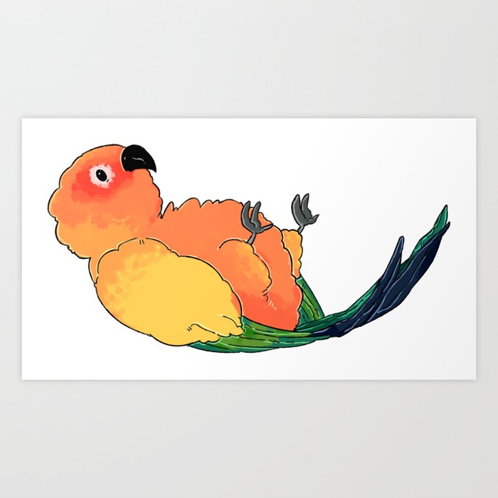 Fluffy Sun Conure Art Print By Kenneduck Society6,What Is A Pergola With A Roof Called